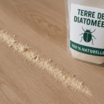 Traitement naturel des punaises de lit avec de la terre de diatomée appliquée au sol.