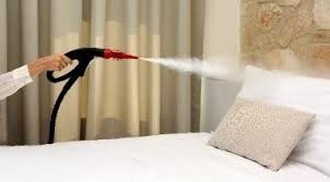 élimination punaises de lit nettoyeur vapeur traitement matelas 100 degrés